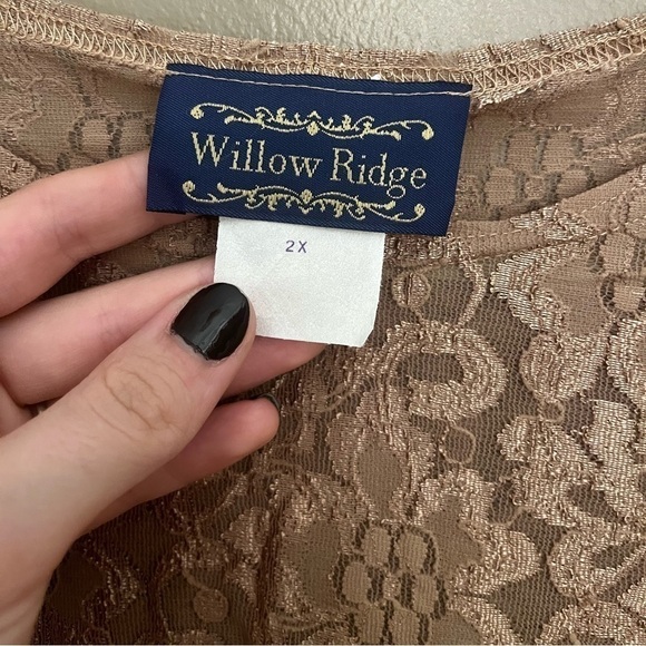 Vintage Willow Ridge Champagne Lace Top - Picture 3 of 5